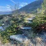 Nyaraló Sorstraumen View