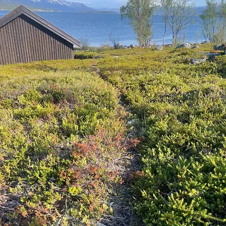 Semesterbostad Sorstraumen View