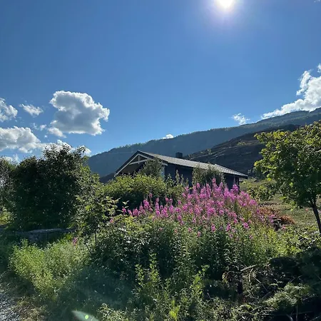 Sorstraumen View * Nordstraumen